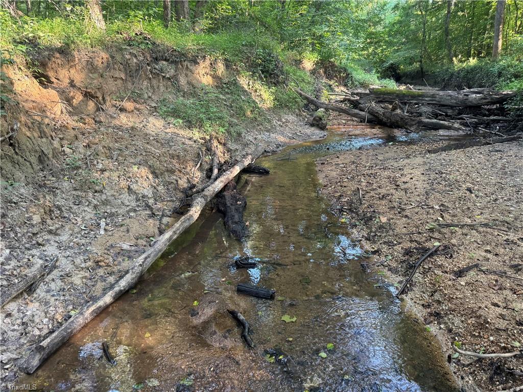 Candy Creek Road, Reidsville, North Carolina image 40