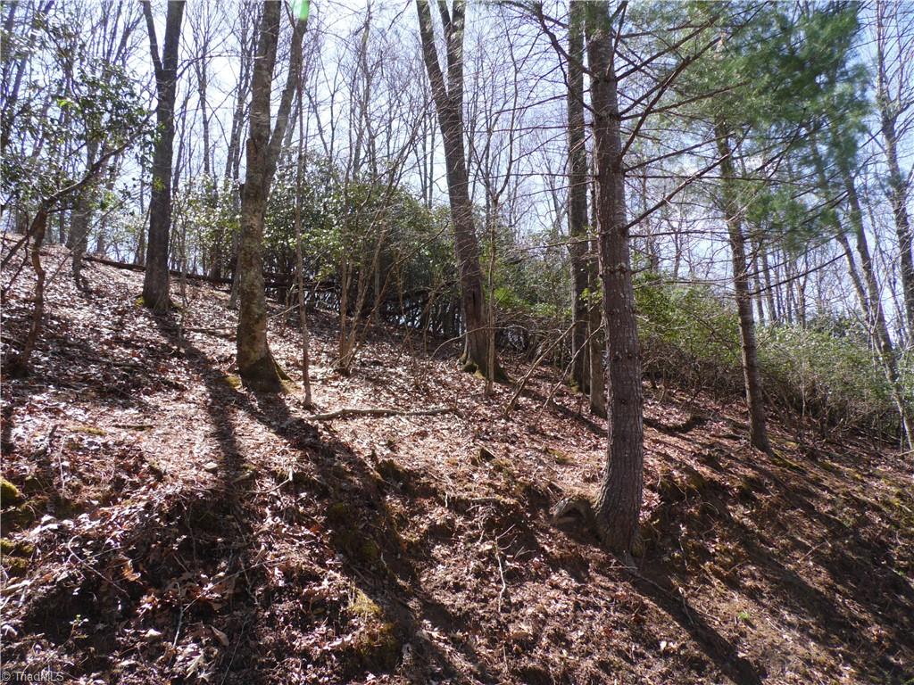 #31 & #32 Happy Ridge Road, Piney Creek, North Carolina image 5
