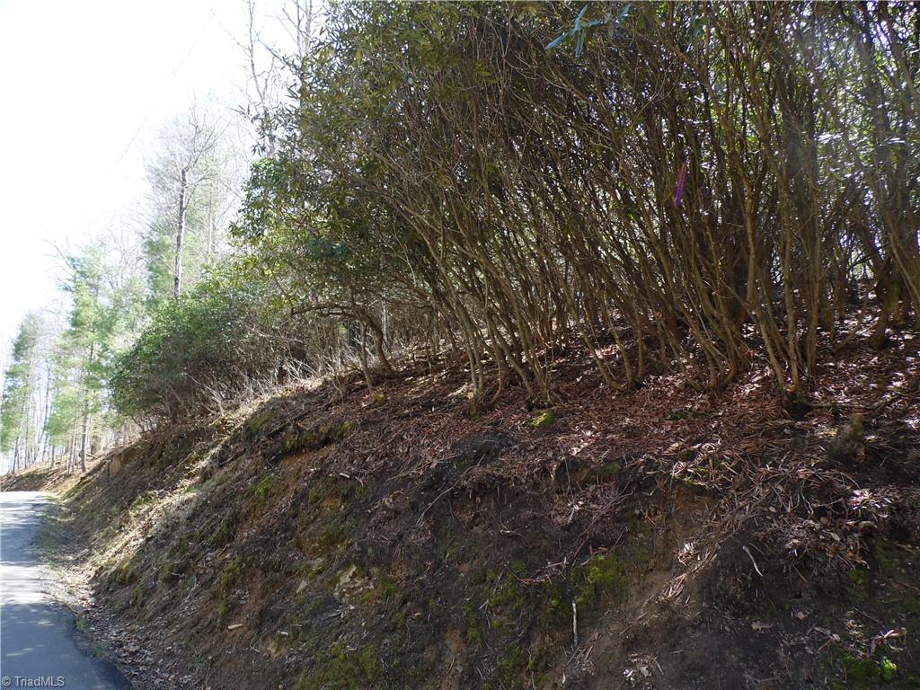 #31 & #32 Happy Ridge Road, Piney Creek, North Carolina image 10