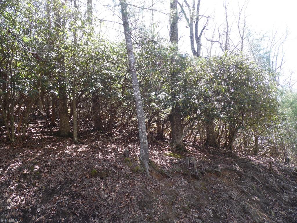 #31 & #32 Happy Ridge Road, Piney Creek, North Carolina image 7