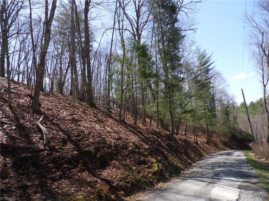 #31 & #32 Happy Ridge Road, Piney Creek, North Carolina image 12