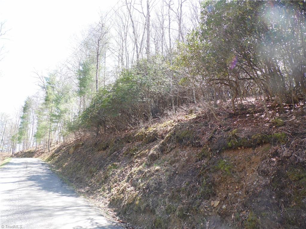 #31 & #32 Happy Ridge Road, Piney Creek, North Carolina image 6