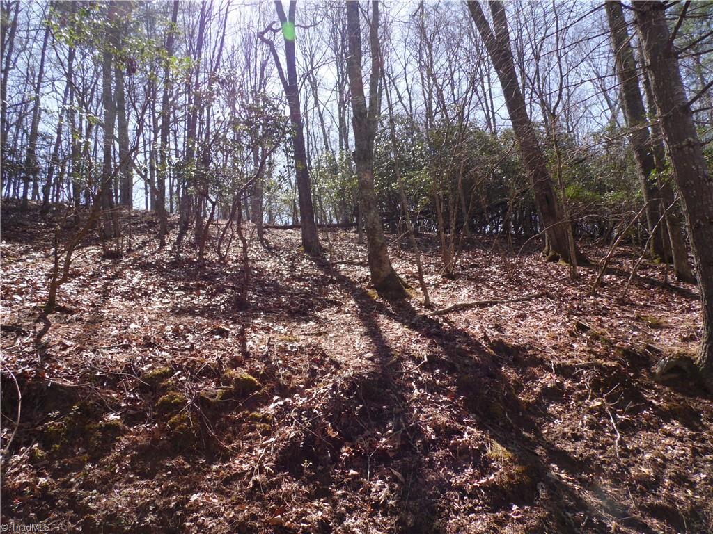 #31 & #32 Happy Ridge Road, Piney Creek, North Carolina image 3