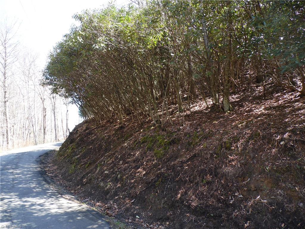 #31 & #32 Happy Ridge Road, Piney Creek, North Carolina image 9