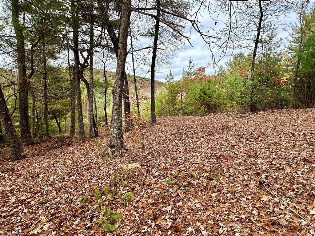 Lot 26E Cascade Run, Purlear, North Carolina image 24