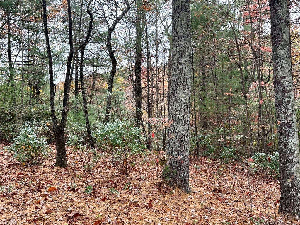 Lot 26E Cascade Run, Purlear, North Carolina image 23