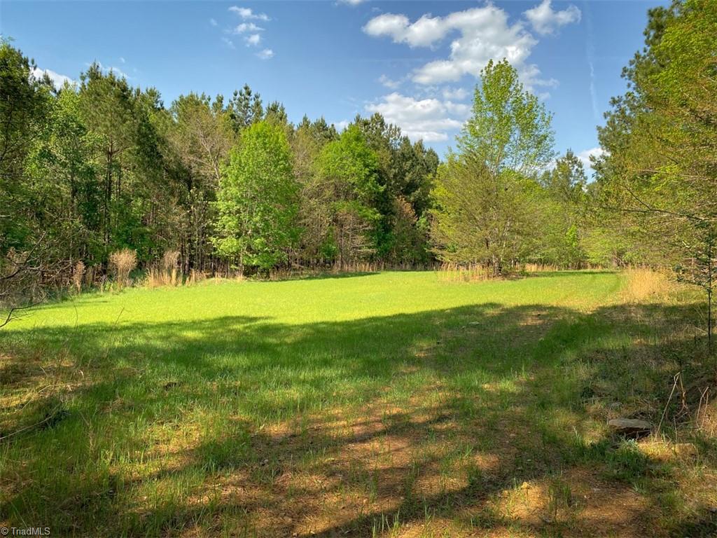 Photo 18 of 25 of 232.5 AC Stoney Point Drive land
