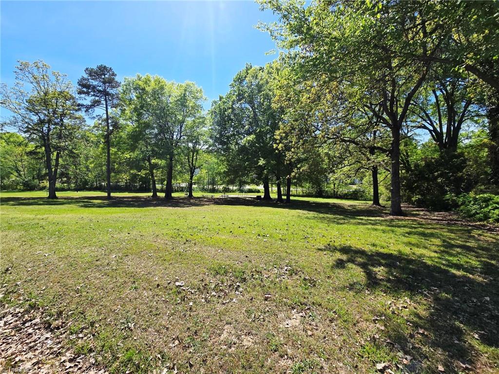 710 Dothan Avenue, Burlington, North Carolina image 23