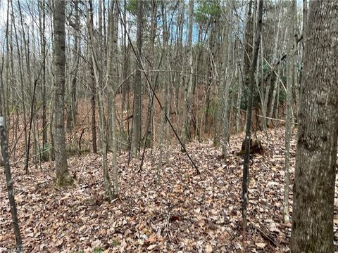 Vacant Land For Sale - LOT 11 Fisher Valley Road<br/> Dobson, NC 27017