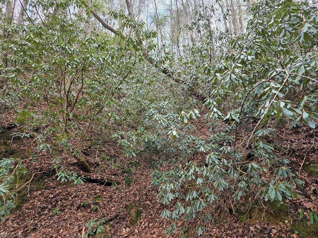 Lot 106 Holleridge Road