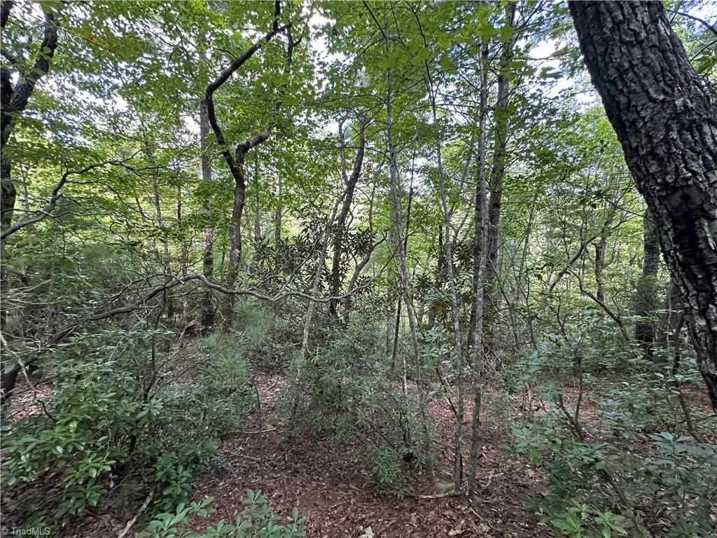 Lot 27E Cascade Run, Purlear, North Carolina image 11