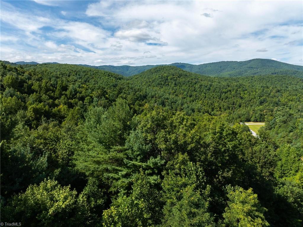 Lot 27E Cascade Run, Purlear, North Carolina image 13