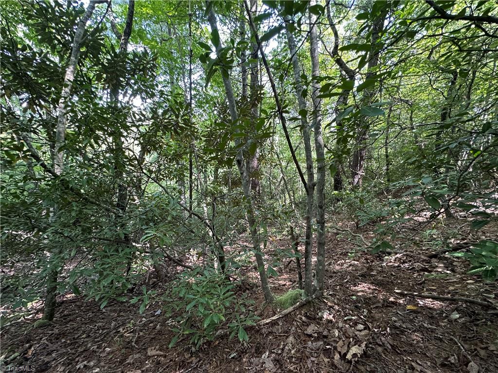 Lot 27E Cascade Run, Purlear, North Carolina image 6