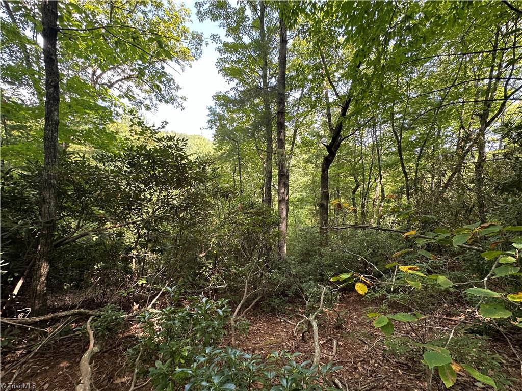 Lot 27E Cascade Run, Purlear, North Carolina image 7