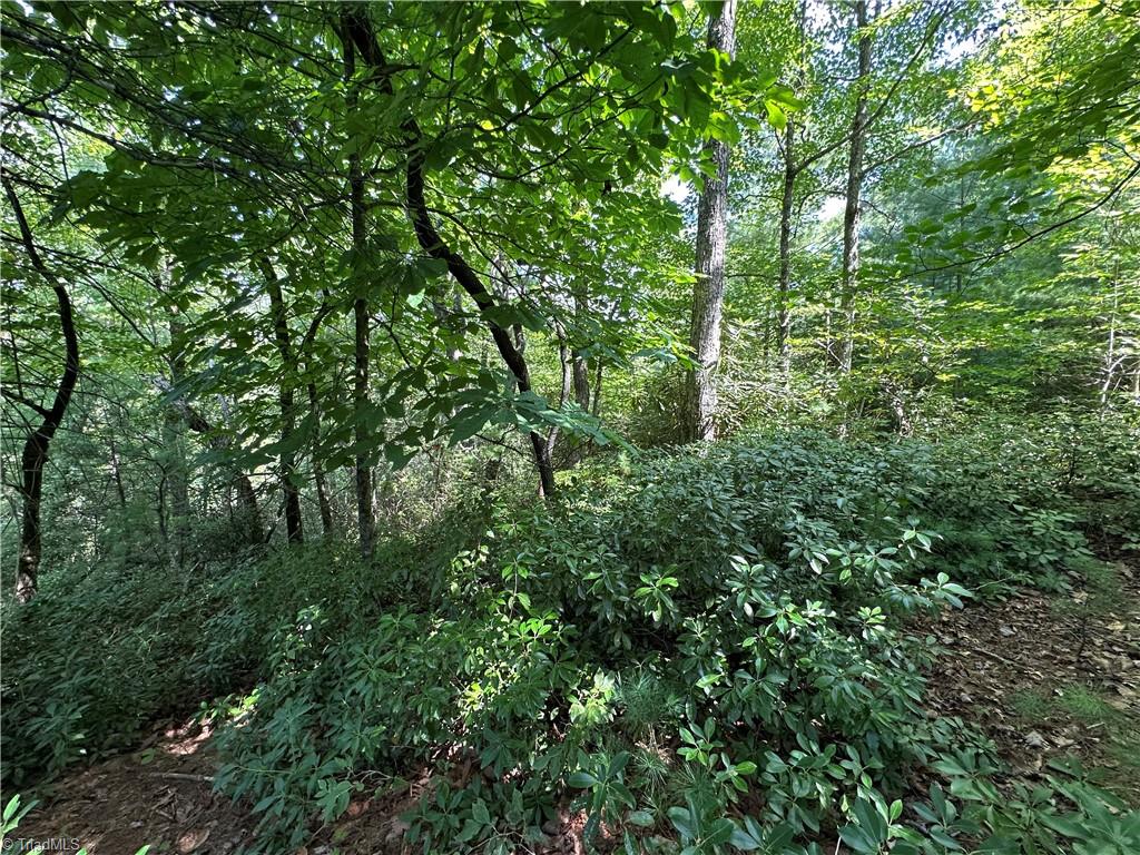 Lot 27E Cascade Run, Purlear, North Carolina image 5