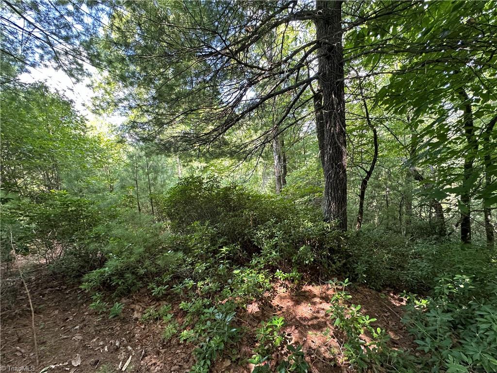 Lot 27E Cascade Run, Purlear, North Carolina image 4