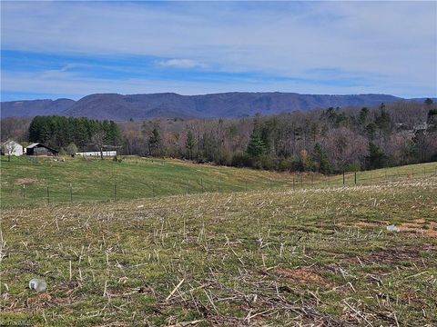 Vacant Land For Sale - 00 Willas Gap Road #43<br/> Patrick County, Ararat, VA 24053