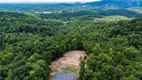 Vacant Land For Sale - TBD Carriage House Trail<br/> McGrady, NC 28649