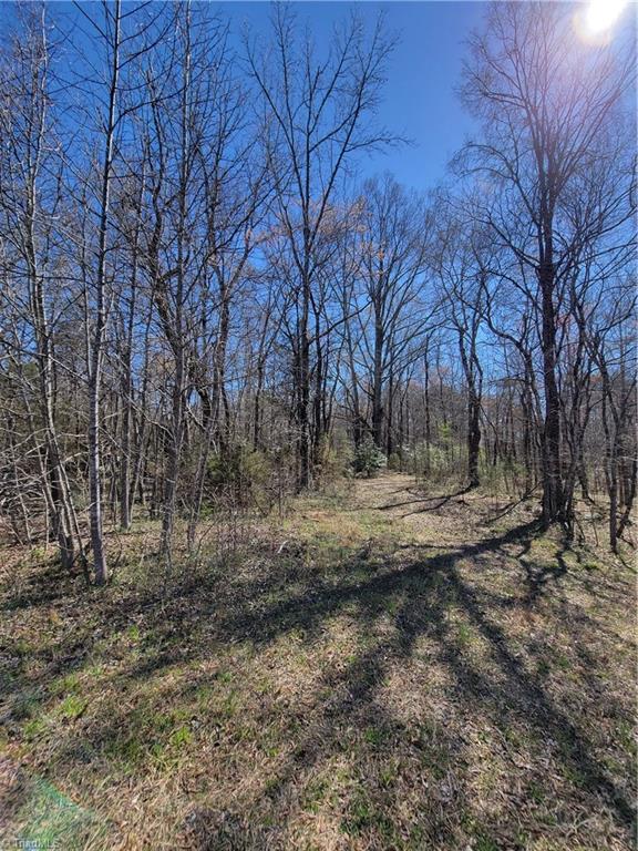 Photo 10 of 12 of 2110 Basin Creek Road land