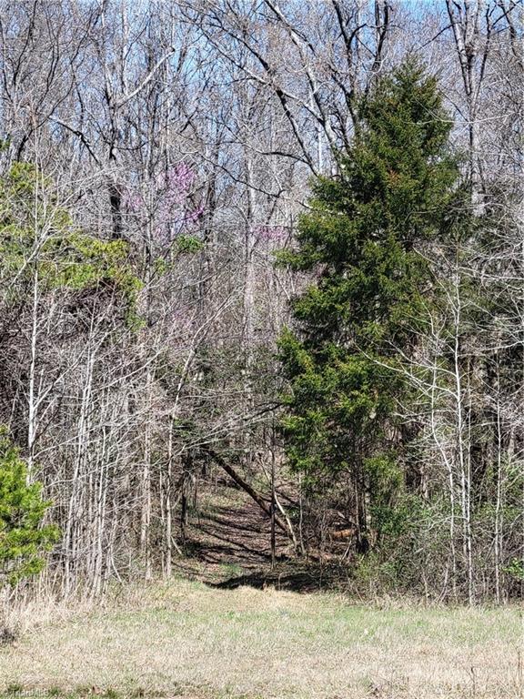 Photo 7 of 12 of 2110 Basin Creek Road land