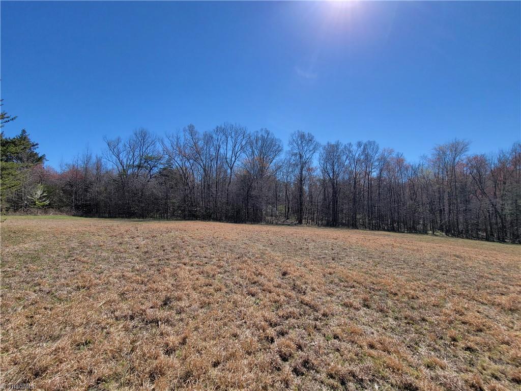 Photo 8 of 12 of 2110 Basin Creek Road land