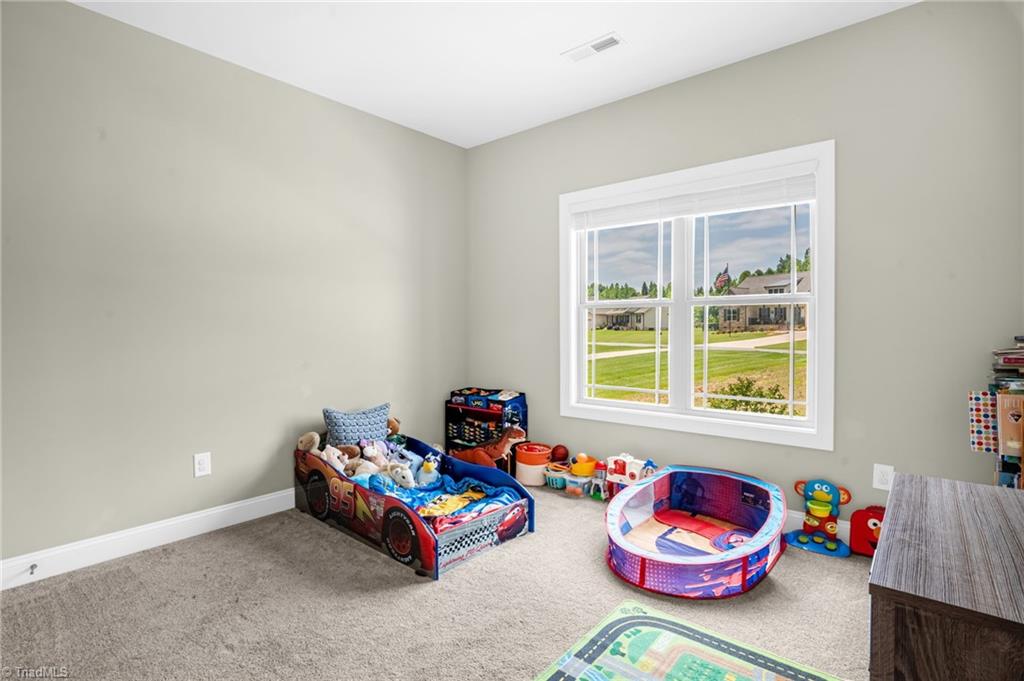 427 Wild Fern Lane, Reidsville, North Carolina image 22