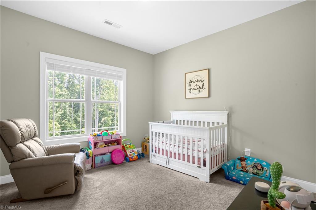 427 Wild Fern Lane, Reidsville, North Carolina image 24