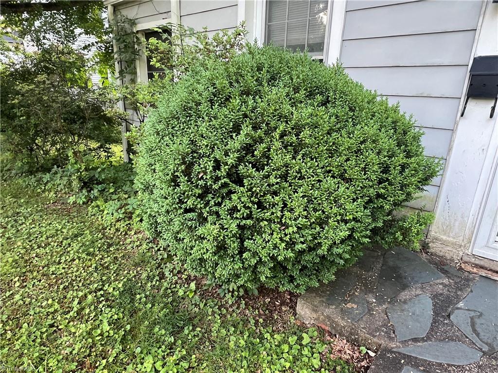 342 Moore Avenue, Mount Airy, North Carolina image 9