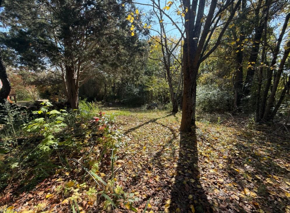 Bayberry Road, Reidsville, North Carolina image 1