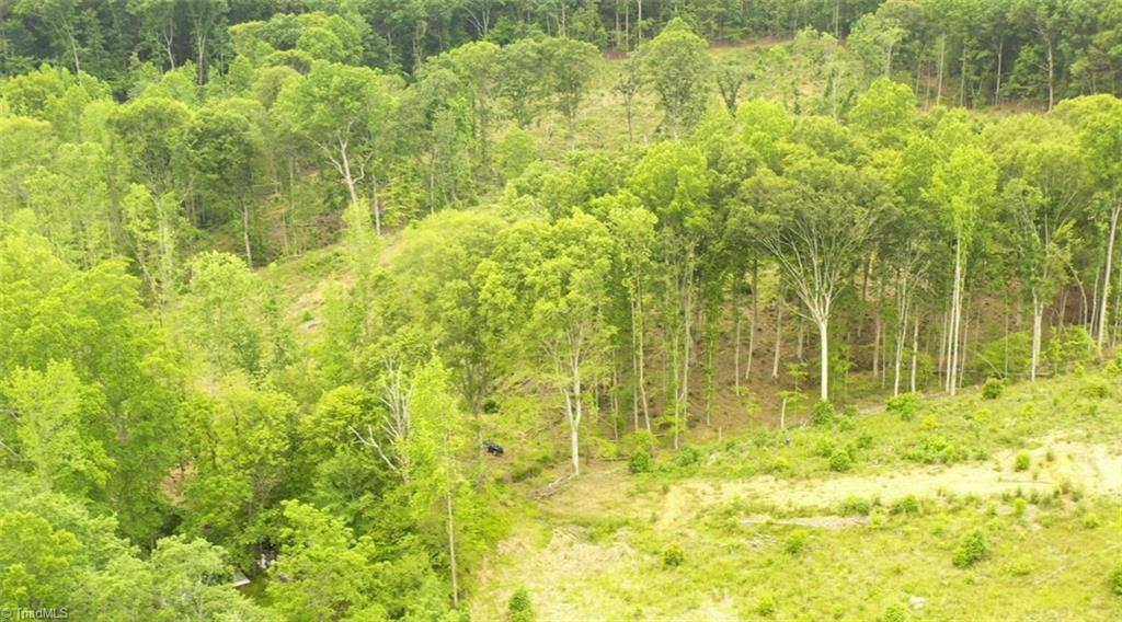Lot 8 Skeens Mill Road, Trinity, North Carolina image 9