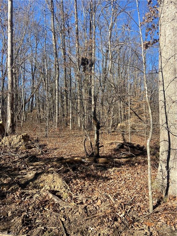 00 Labradoodle Lane, Reidsville, North Carolina image 4