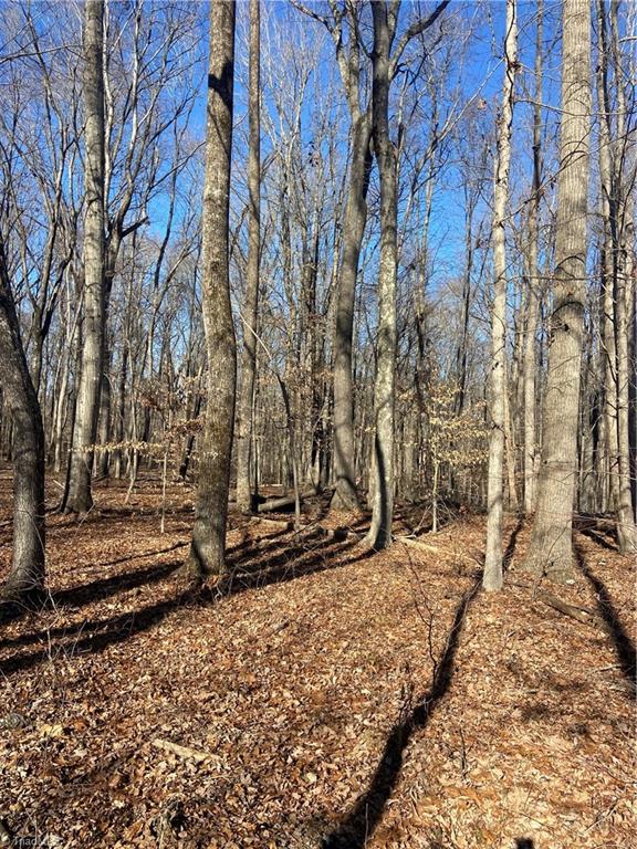 00 Labradoodle Lane, Reidsville, North Carolina image 3