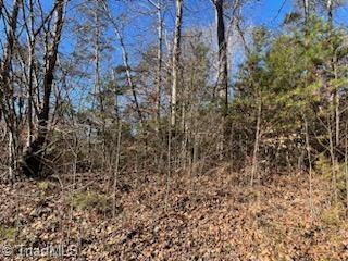 Lot 11 Stevens Drive, Jonesville, North Carolina image 4