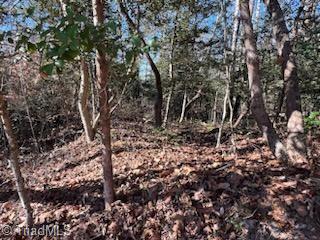 Lot 11 Stevens Drive, Jonesville, North Carolina image 5