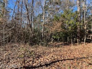 Lot 11 Stevens Drive, Jonesville, North Carolina image 3