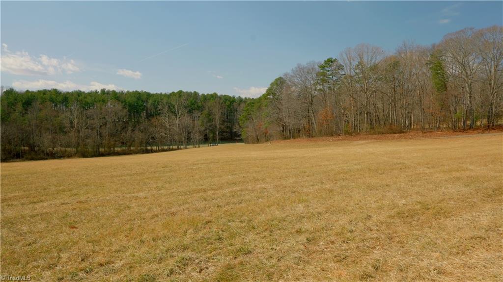 3 Jessup Grove Church Road, Pilot Mountain, North Carolina image 1