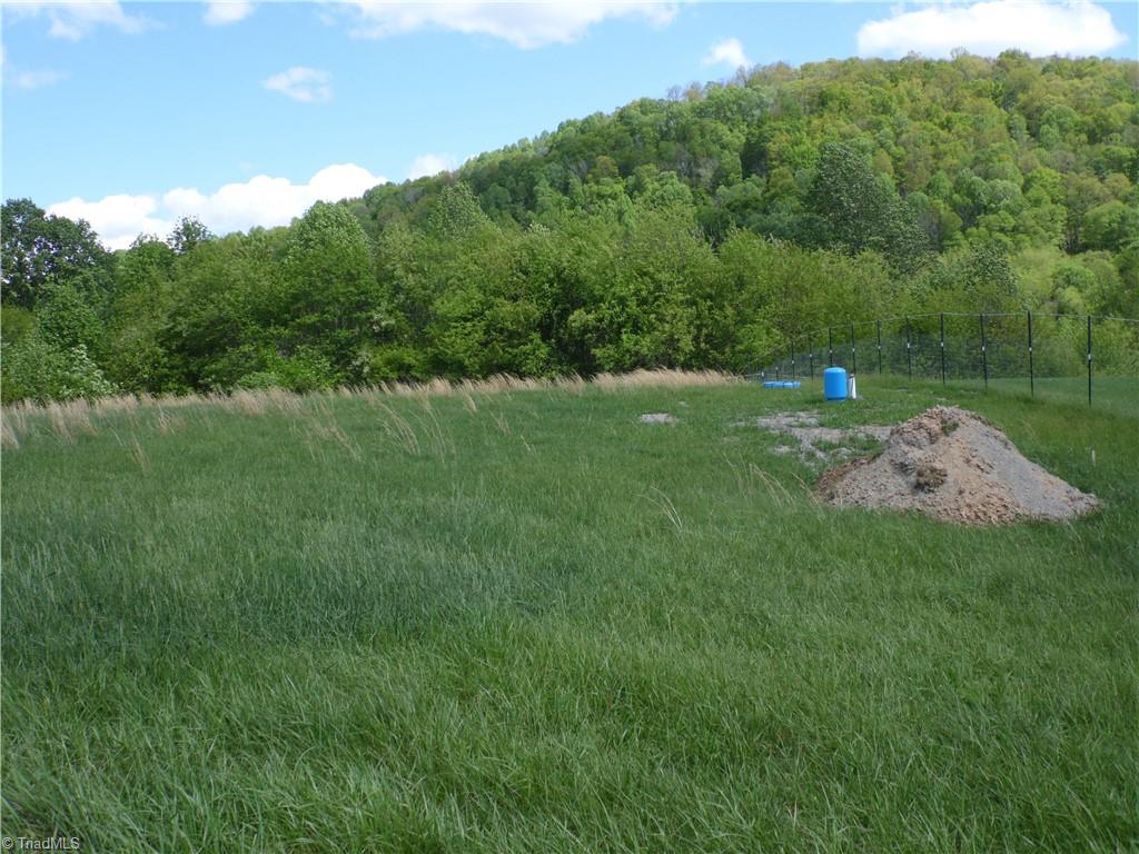 TBD Toms Knob Road, Sparta, North Carolina image 7