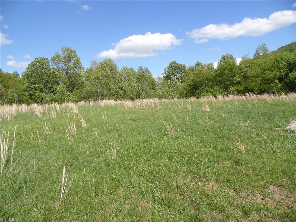 TBD Toms Knob Road, Sparta, North Carolina image 8