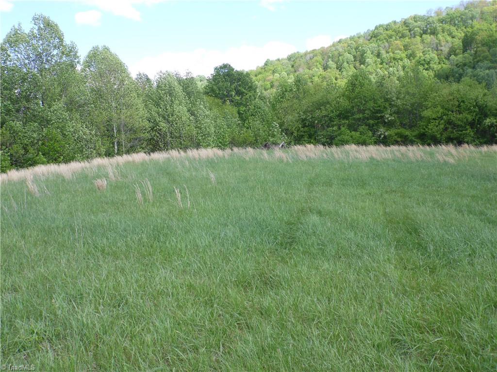 TBD Toms Knob Road, Sparta, North Carolina image 2