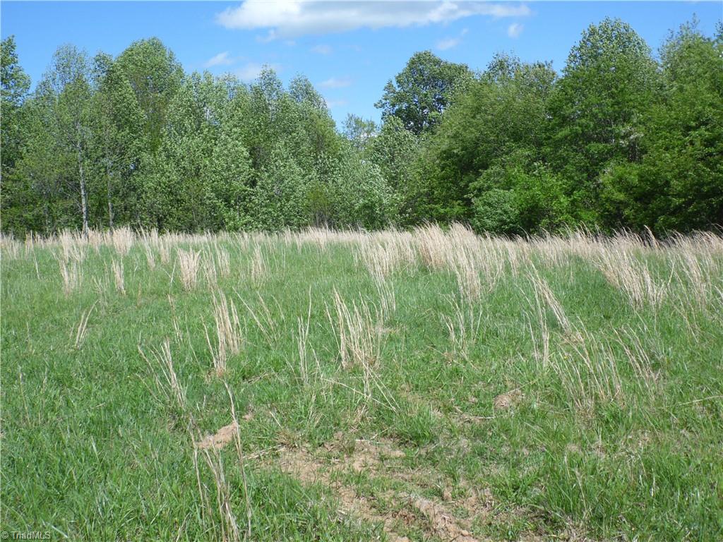 TBD Toms Knob Road, Sparta, North Carolina image 13