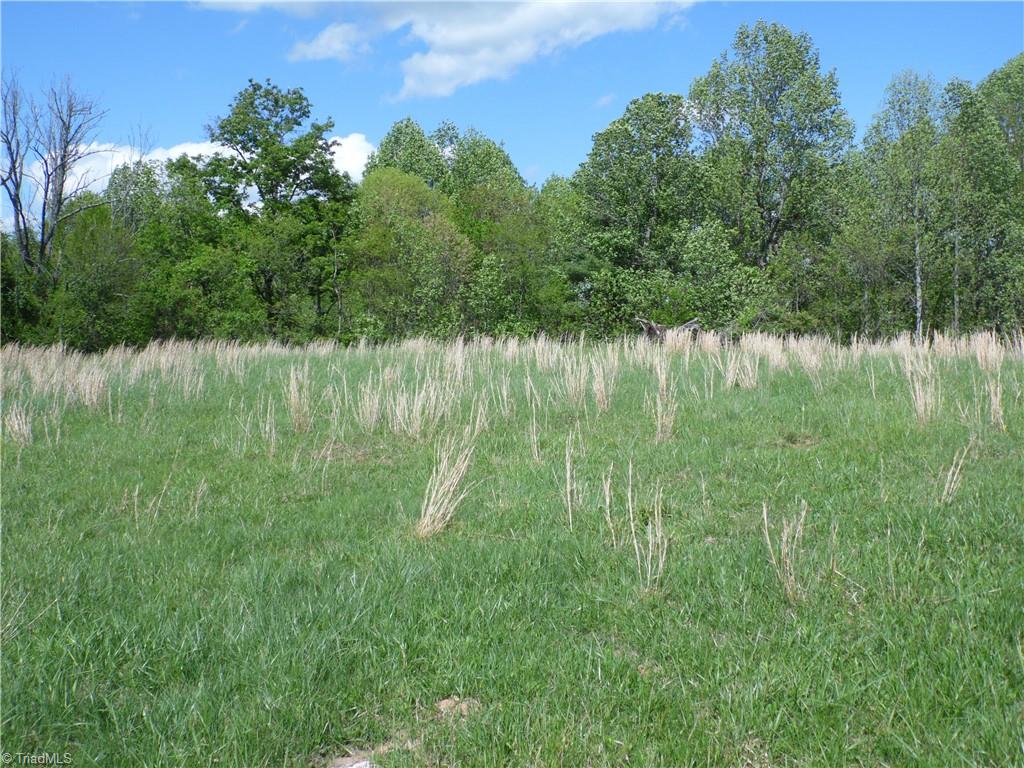 TBD Toms Knob Road, Sparta, North Carolina image 4