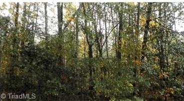 Vacant Land For Sale - Morning Star Lane<br/> Winston-Salem, NC 27107