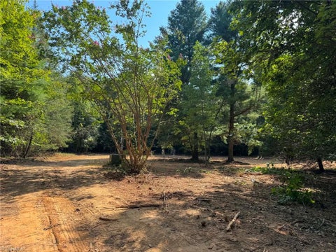 Vacant Land For Sale - 1036 Antler Run Drive<br/> Jonesville, NC 28642