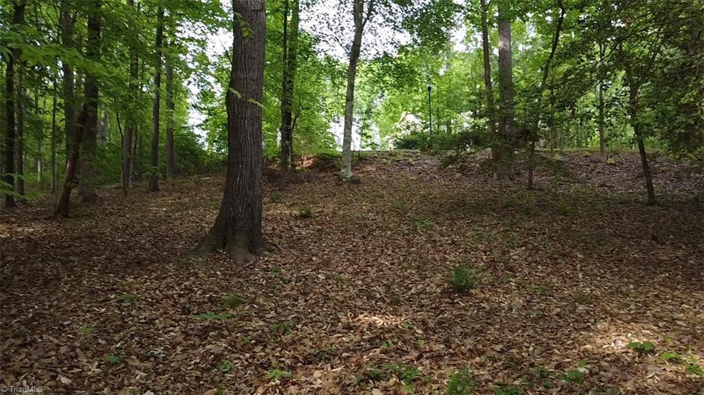Lot 12 Johns Ridge Drive, Asheboro, North Carolina image 7