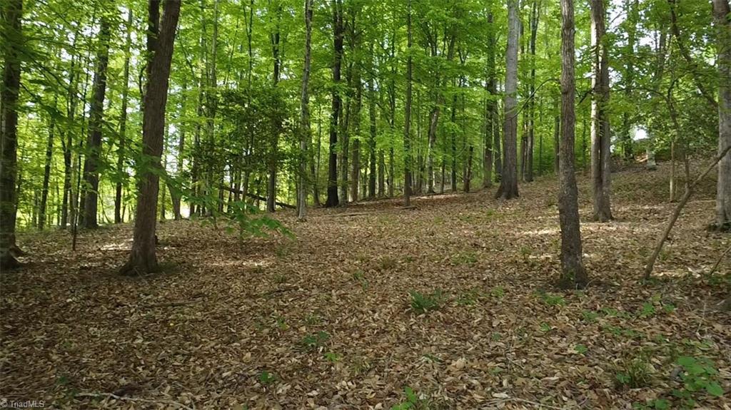 Lot 12 Johns Ridge Drive, Asheboro, North Carolina image 5