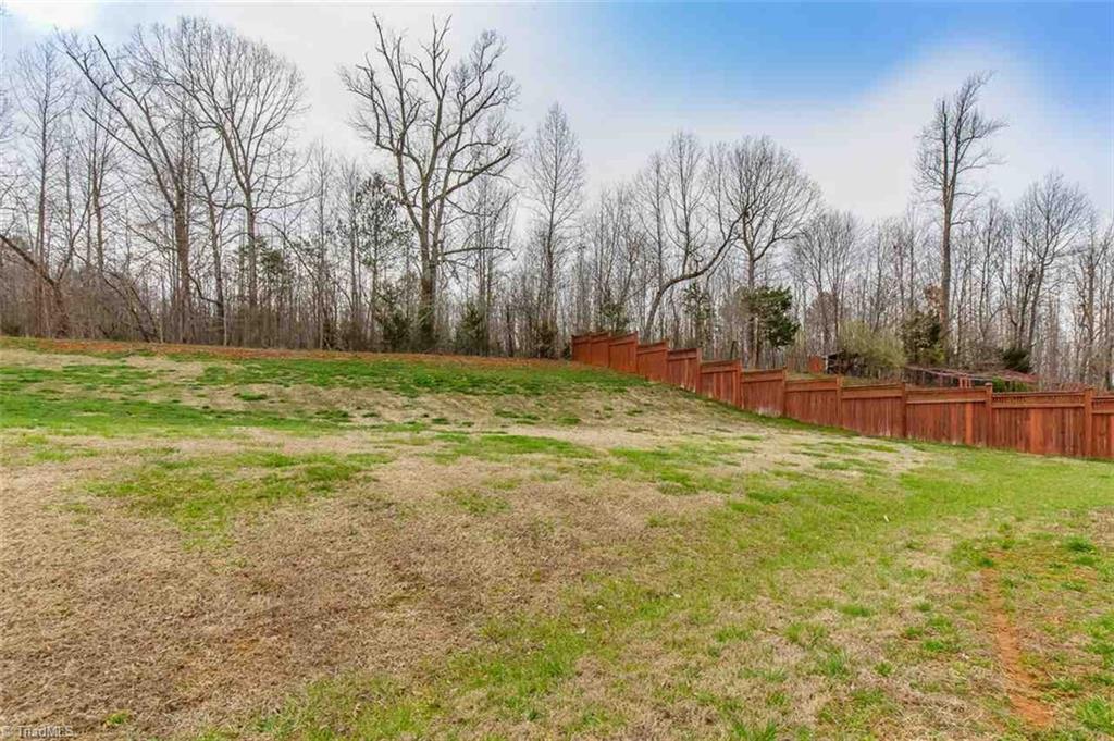 1301 Torrey Pines Court, Mebane, North Carolina image 41