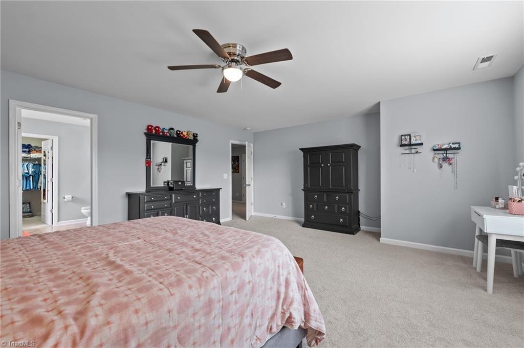 1301 Torrey Pines Court, Mebane, North Carolina image 19