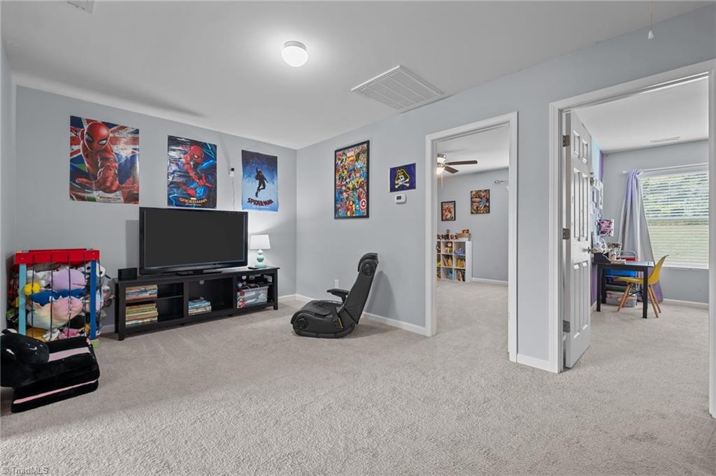 1301 Torrey Pines Court, Mebane, North Carolina image 22