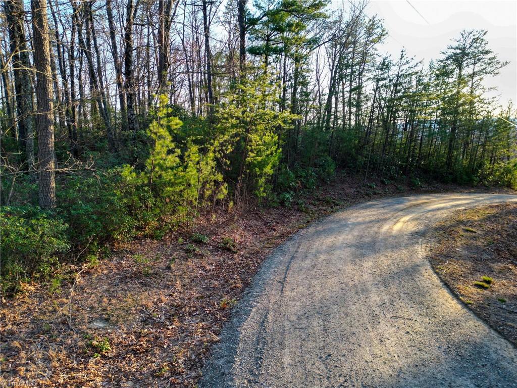000 Gowings Knob Road, McGrady, North Carolina image 3