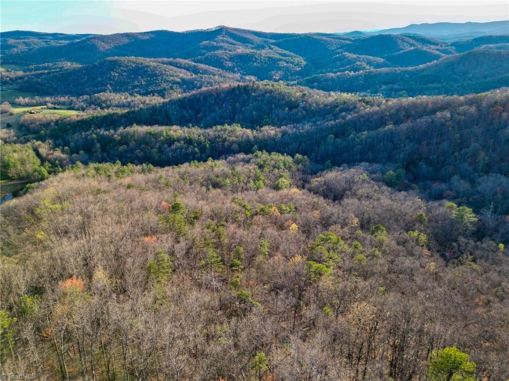 000 Gowings Knob Road, McGrady, North Carolina image 9